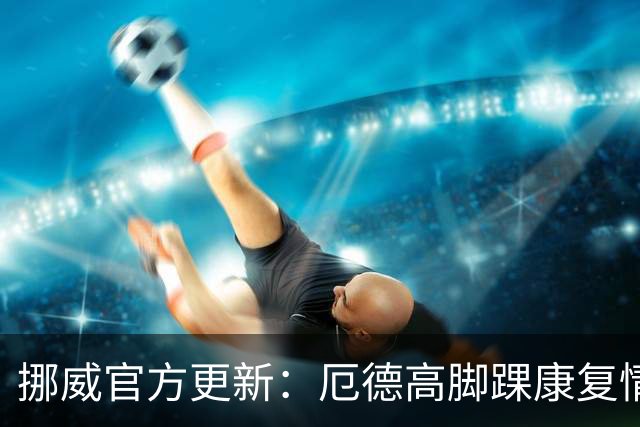挪威官方更新：厄德高脚踝康复情况良好